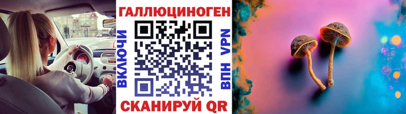 Псилоцибиновые грибы мицелий  где купить наркоту  Нестеров 