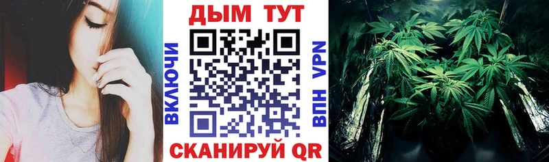 купить   Нестеров  Марихуана Bruce Banner 